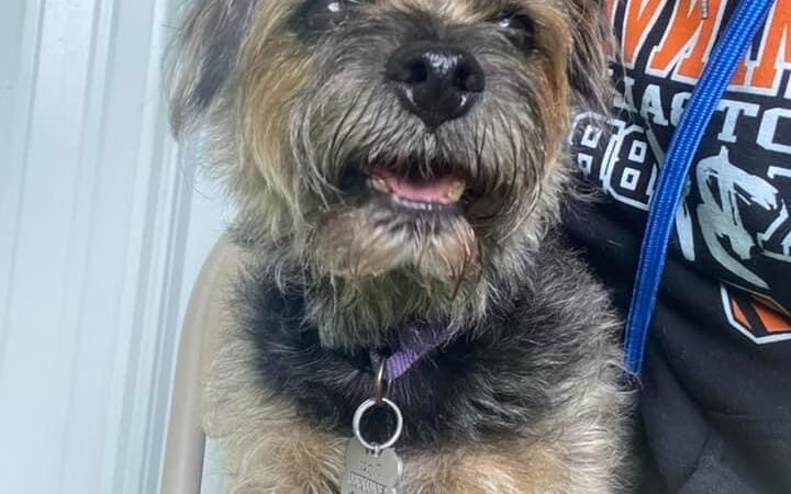 Pawley’s Porch - Chapmanville, WV