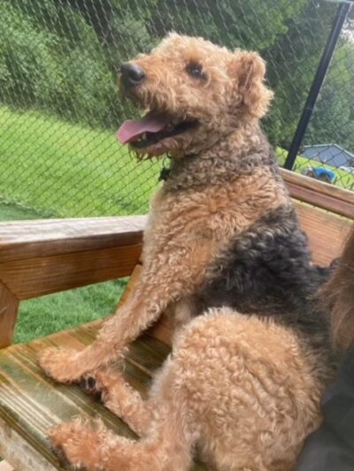 Pawley’s Porch - Chapmanville, WV