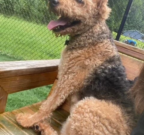 Pawley’s Porch - Chapmanville, WV