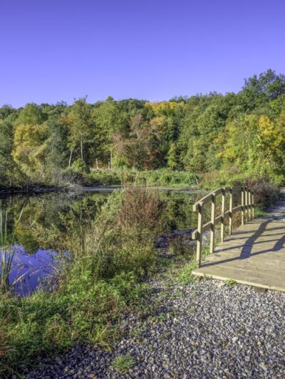 Glazier Preserve - Chappaqua, NY