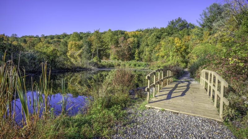 Glazier Preserve - Chappaqua, NY