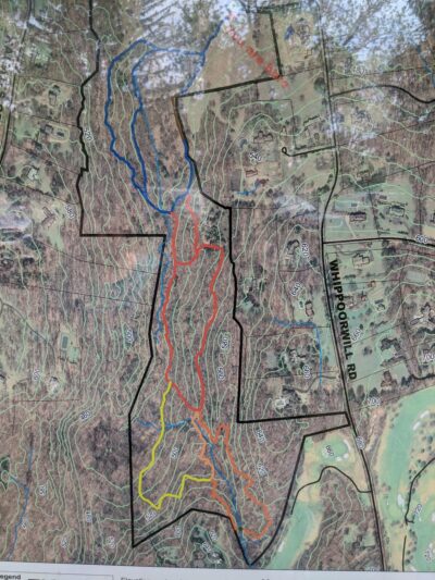 Glazier Preserve - Chappaqua, NY