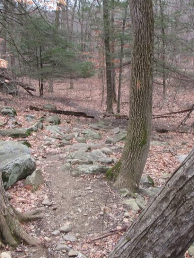 Glazier Preserve - Chappaqua, NY
