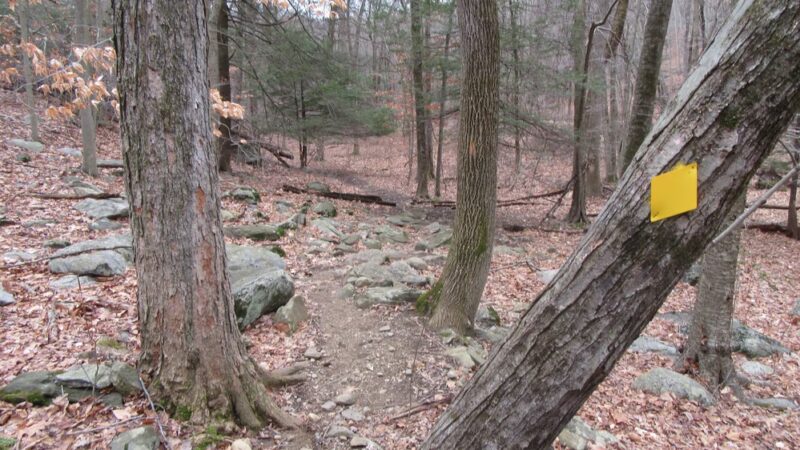 Glazier Preserve - Chappaqua, NY