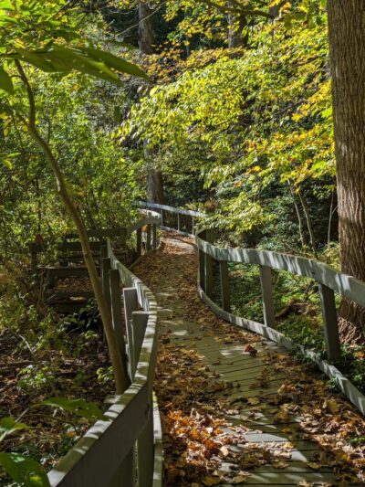 Pinecliff Audubon Sanctuary - Chappaqua, NY