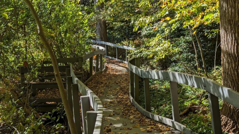 Pinecliff Audubon Sanctuary - Chappaqua, NY