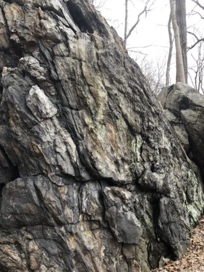 Pinecliff Audubon Sanctuary - Chappaqua, NY