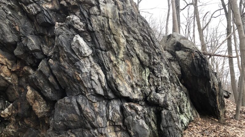 Pinecliff Audubon Sanctuary - Chappaqua, NY