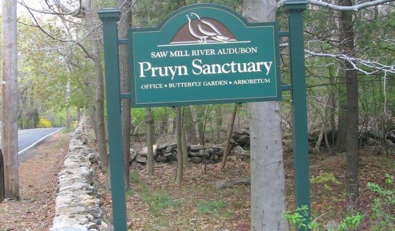 Pruyn Audubon Sanctuary - Chappaqua, NY