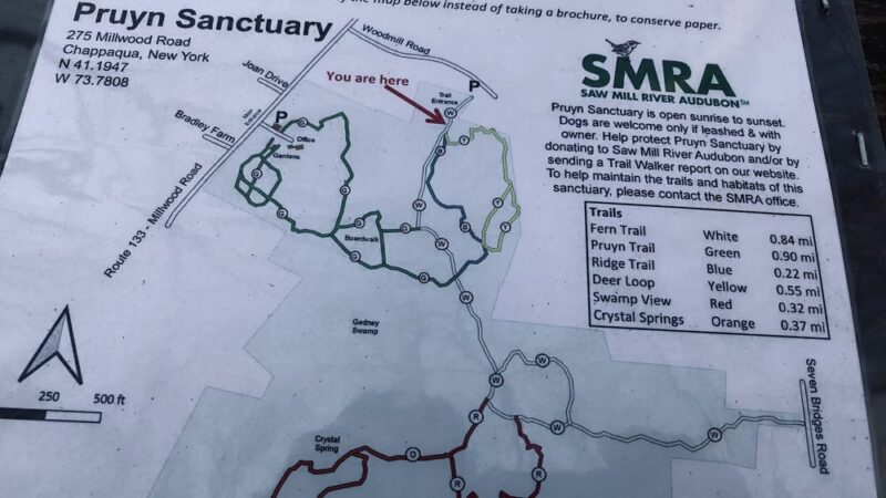 Pruyn Audubon Sanctuary - Chappaqua, NY