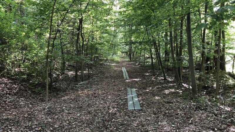 Pruyn Audubon Sanctuary - Chappaqua, NY