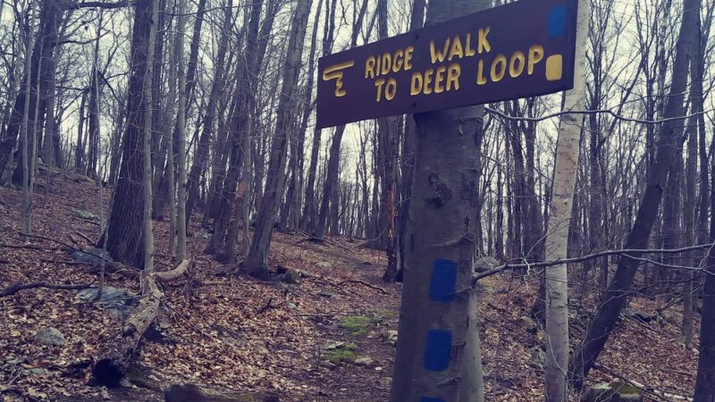 Pruyn Audubon Sanctuary - Chappaqua, NY