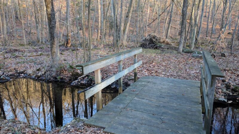 Whippoorwill Park - Chappaqua, NY