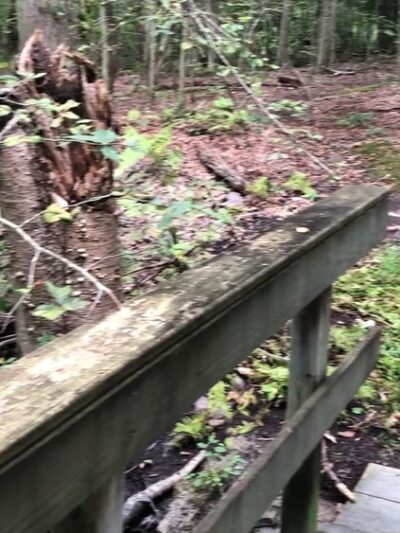 Whippoorwill Park - Chappaqua, NY