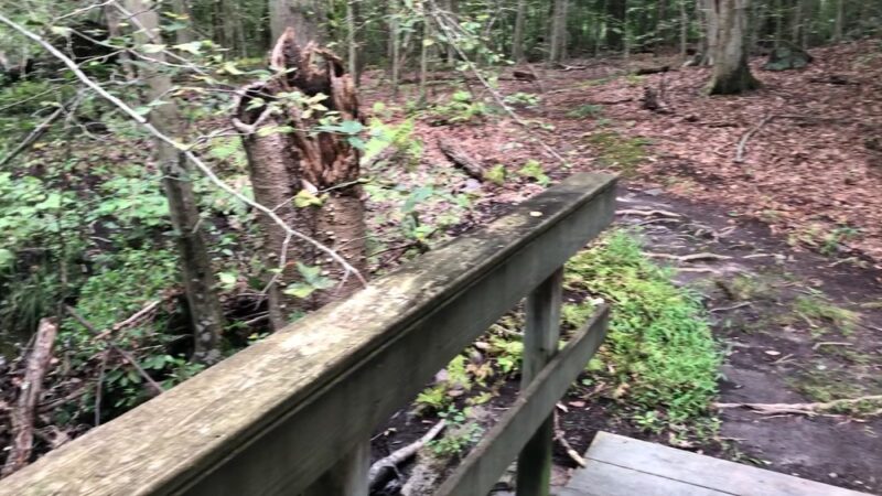 Whippoorwill Park - Chappaqua, NY