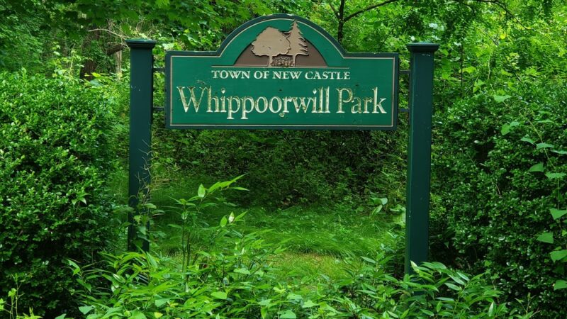 Whippoorwill Park - Chappaqua, NY