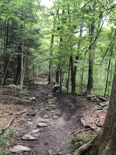 Whippoorwill Park - Chappaqua, NY