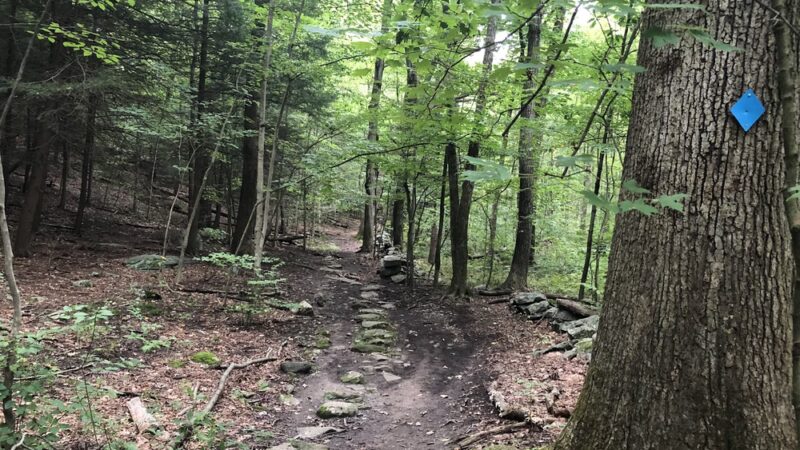 Whippoorwill Park - Chappaqua, NY