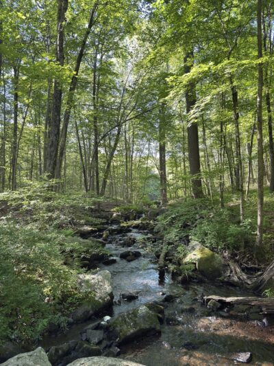 Whippoorwill Park - Chappaqua, NY