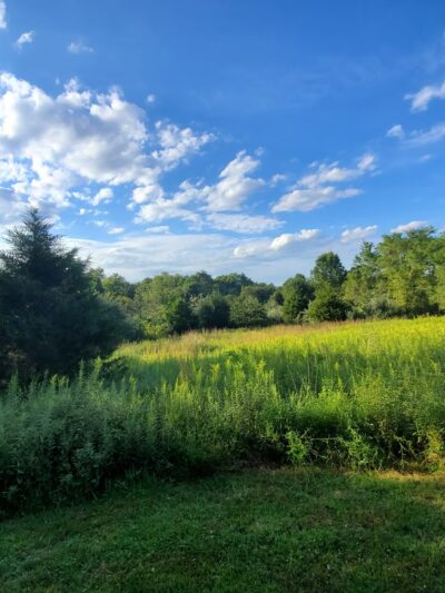 Cool Spring Preserve - Charles Town, WV