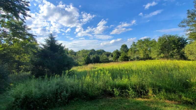 Cool Spring Preserve - Charles Town, WV