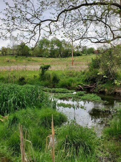 Cool Spring Preserve - Charles Town, WV