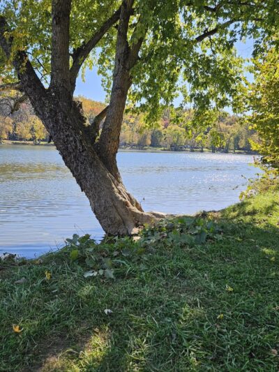 Moulton Park - Charles Town, WV