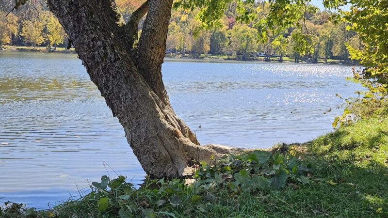 Moulton Park - Charles Town, WV