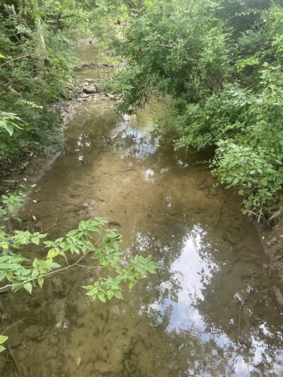 Willingham Knolls Park - Charles Town, WV