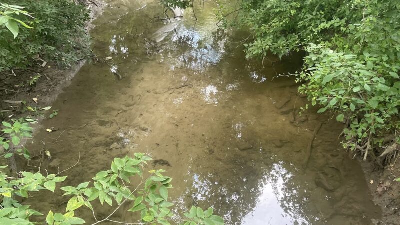 Willingham Knolls Park - Charles Town, WV