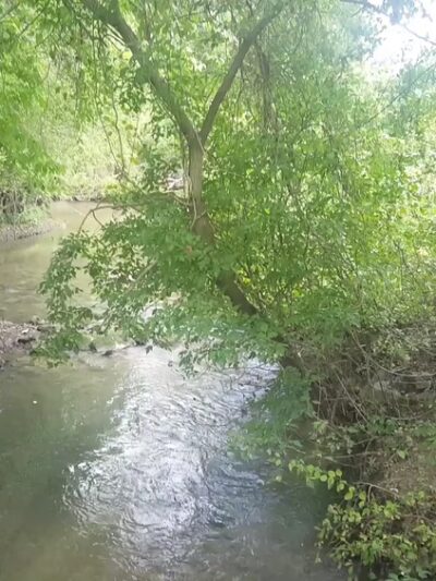 Willingham Knolls Park - Charles Town, WV