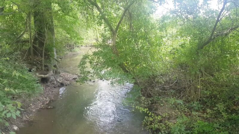 Willingham Knolls Park - Charles Town, WV