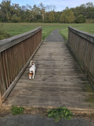 Willingham Knolls Park - Charles Town, WV