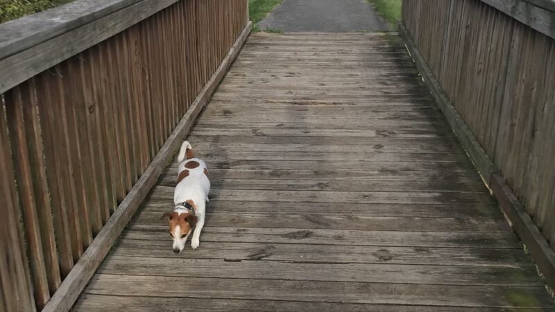 Willingham Knolls Park - Charles Town, WV