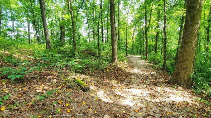 Cato Park - Charleston, WV
