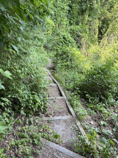 Danner Meadow Park - Charleston, WV