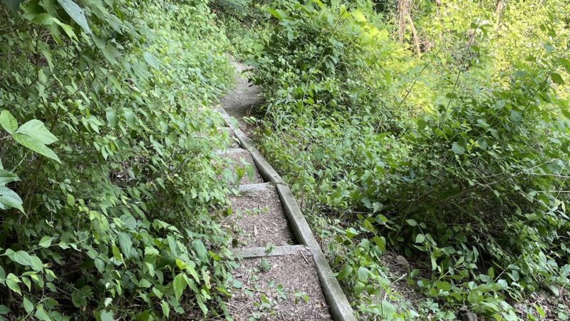 Danner Meadow Park - Charleston, WV