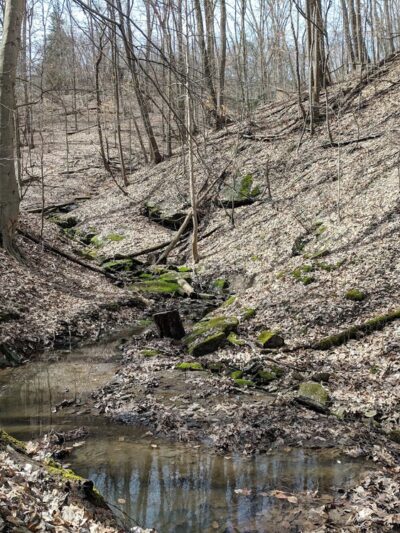 Danner Meadow Park - Charleston, WV
