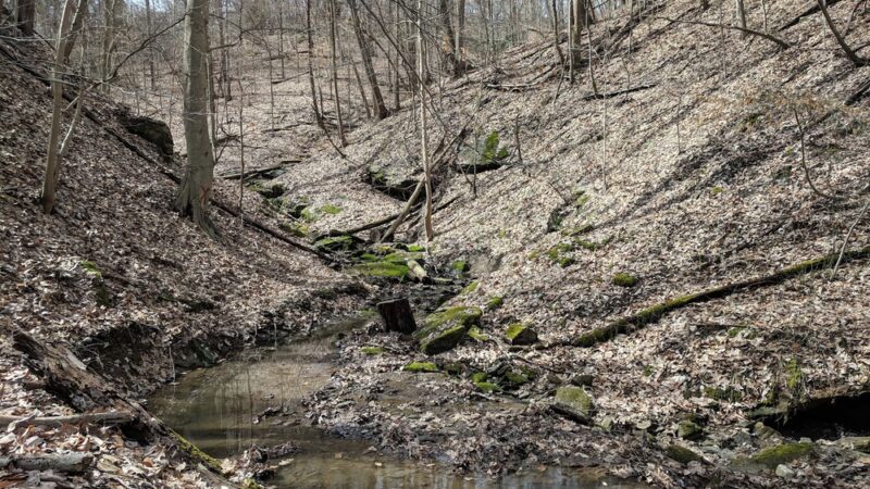 Danner Meadow Park - Charleston, WV