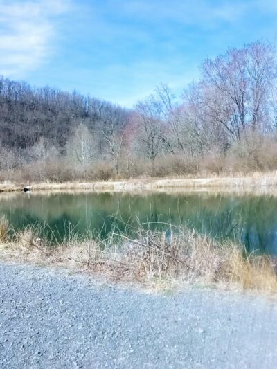 Edwards Run Wildlife Management Area - Charleston, WV