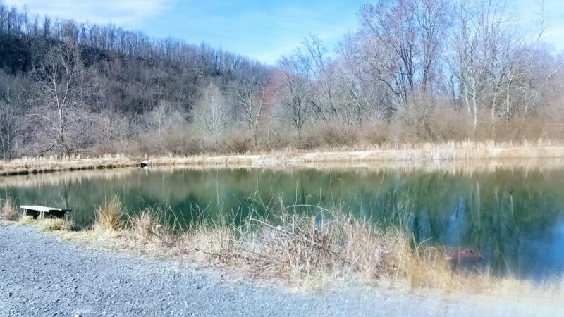 Edwards Run Wildlife Management Area - Charleston, WV