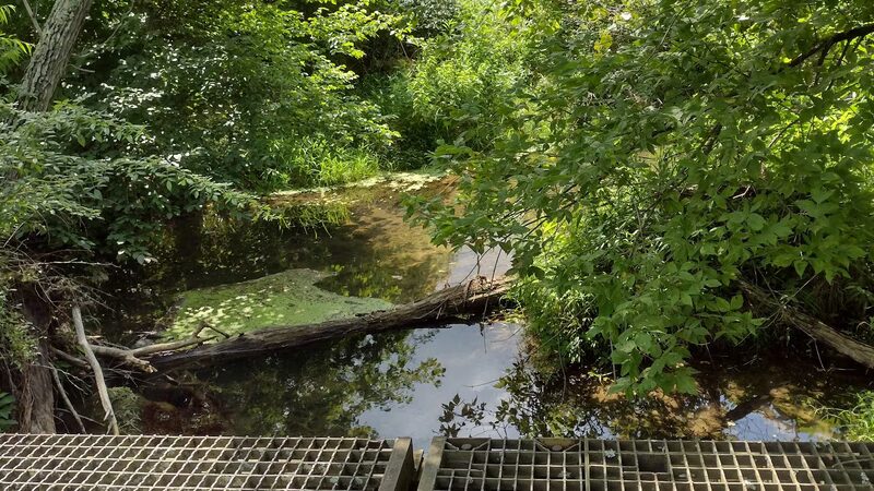 Edwards Run Wildlife Management Area - Charleston, WV