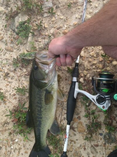 Edwards Run Wildlife Management Area - Charleston, WV