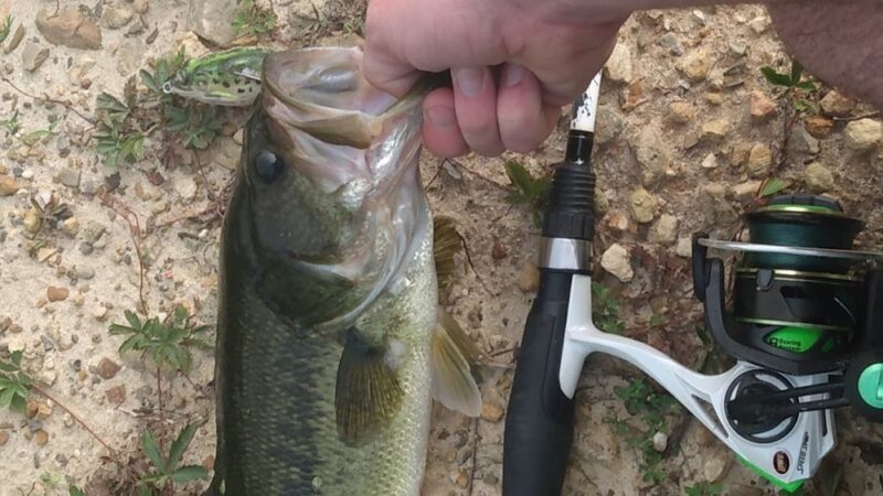 Edwards Run Wildlife Management Area - Charleston, WV
