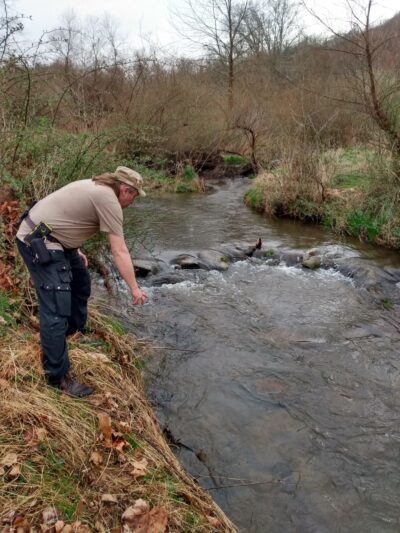 Edwards Run Wildlife Management Area - Charleston, WV