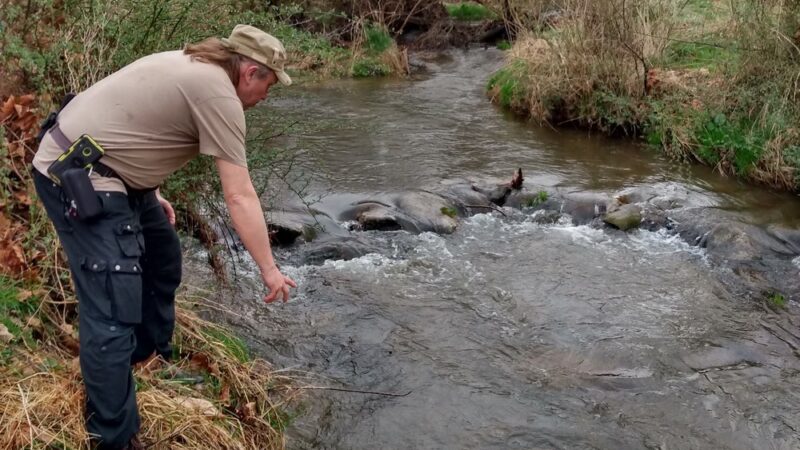 Edwards Run Wildlife Management Area - Charleston, WV