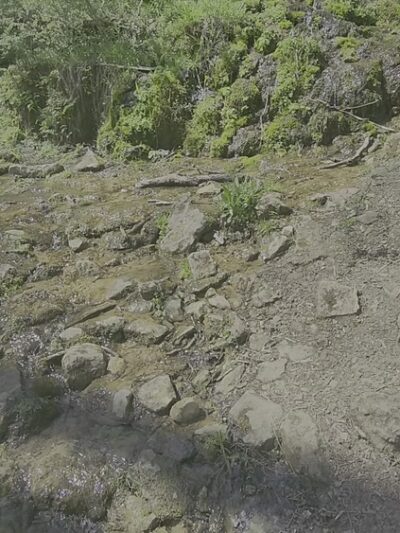 Charlestown State Park Trail 1 Trailhead - Charlestown, IN