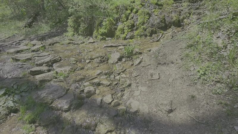 Charlestown State Park Trail 1 Trailhead - Charlestown, IN