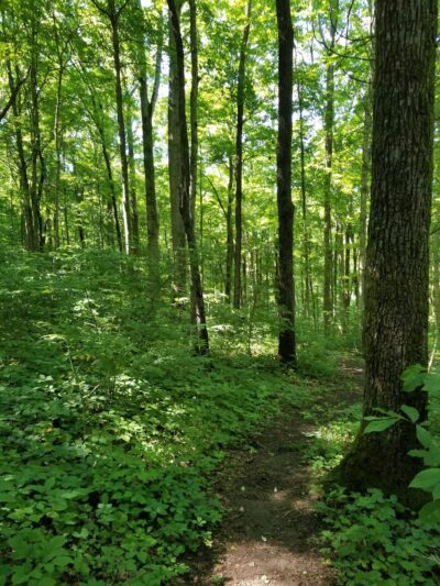 Charlestown State Park Trail 1 Trailhead - Charlestown, IN