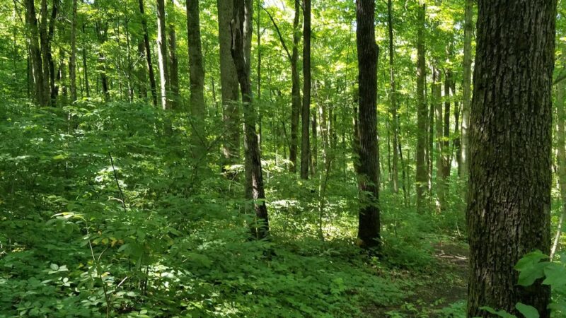 Charlestown State Park Trail 1 Trailhead - Charlestown, IN
